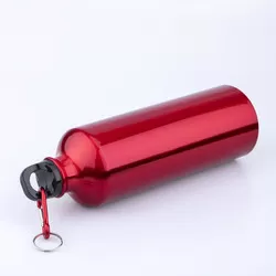 pl158218081-high_quantity_bpa_free_wholesale_custom_manufacturer_single_wall_aluminum_sports_water_bottle_with_carabiner
